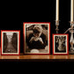 A collection of Red Wood Veneer & Mother of Pearl Marquetry photo frames